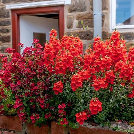 Chimes Cottage Guisborough Zewnętrze zdjęcie